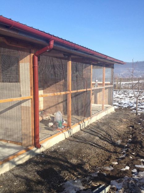 27606327_337068983458976_889094059_o - NOUA CRESCATORIE