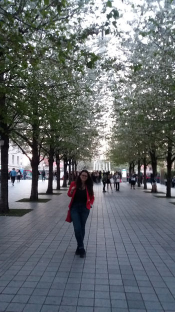  - 2017 LONDRA