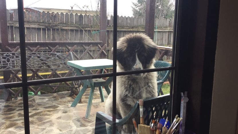 31.12.2017 LA ATELIER - MARA DE CROITORU