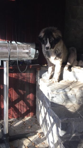 06.01.2018 - MARA DE CROITORU