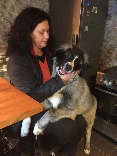 28.01.2018 - MARA DE CROITORU