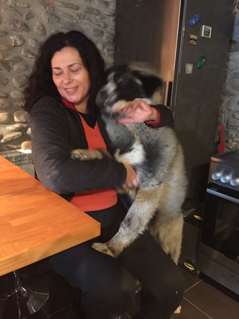 9905B802-749E-47ED-8409-1F3BBDC8B582 - MARA DE CROITORU