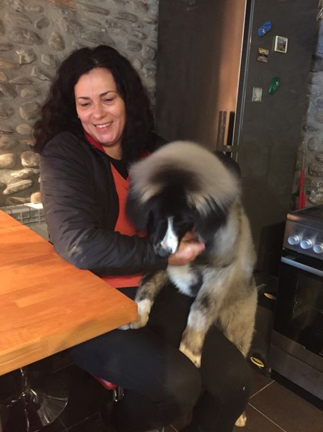 0D0105D3-6D12-4BAA-B614-B9A892701DEC - MARA DE CROITORU