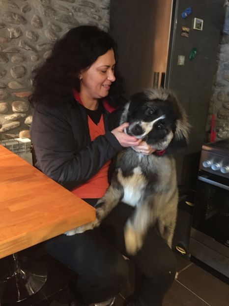 28.01.2018 - MARA DE CROITORU