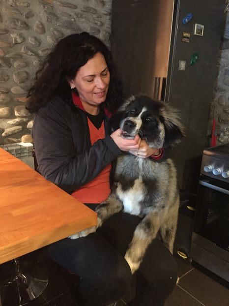 28.01.2018 - MARA DE CROITORU