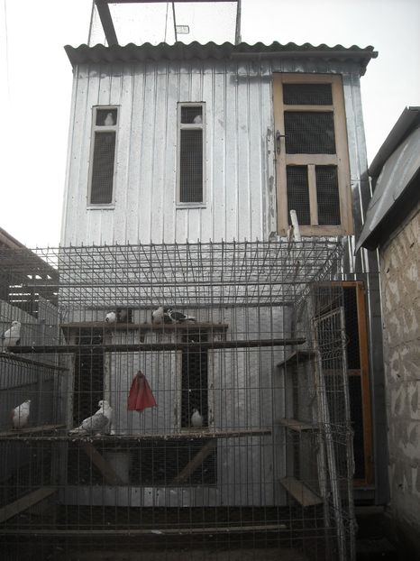  - DE PRIN PORUMBARIE