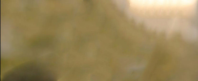  - 01 background - 01