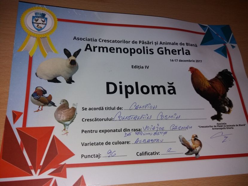  - Cupe si diplome