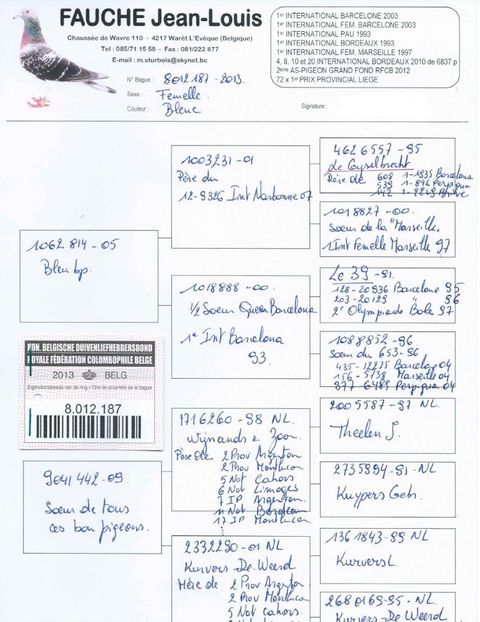 BE-8021187-2013-F-pedigree - Maraton Extrem