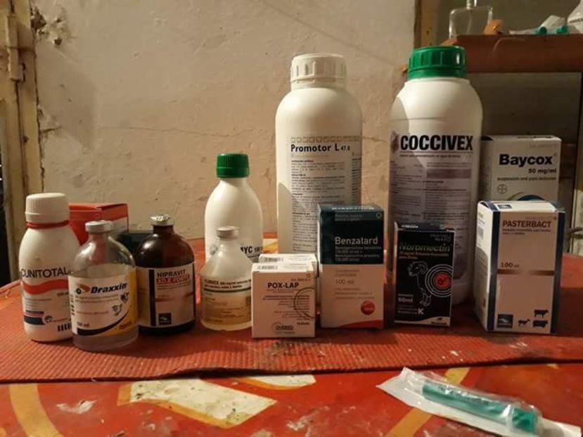  - MEDICAMENTE IEPURI