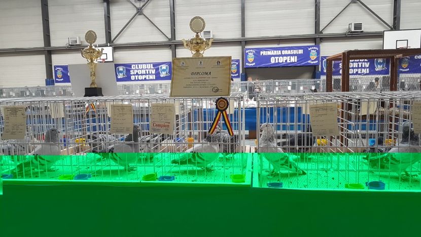  - 0 - Expozitie Otopeni 2-4 febr 2018