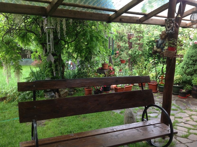  - Glicina 6 feb 2018