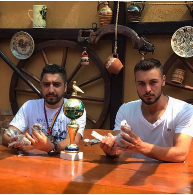 4196A70C-39FB-48B8-8395-8B5400F98DD5 - Grand Champion bahrain