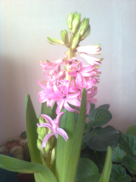  - ACHIZITI - 2015 - 2018