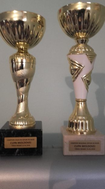 campion regional Berbec  thuringia ; campion colectie:TgNeamt 19-21.01.2018 - participari si rezultate