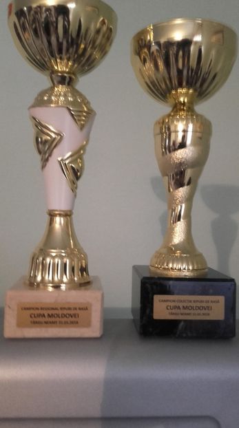 campion satin thuringia M  campion colectie ;TgNeamt2018 - participari si rezultate