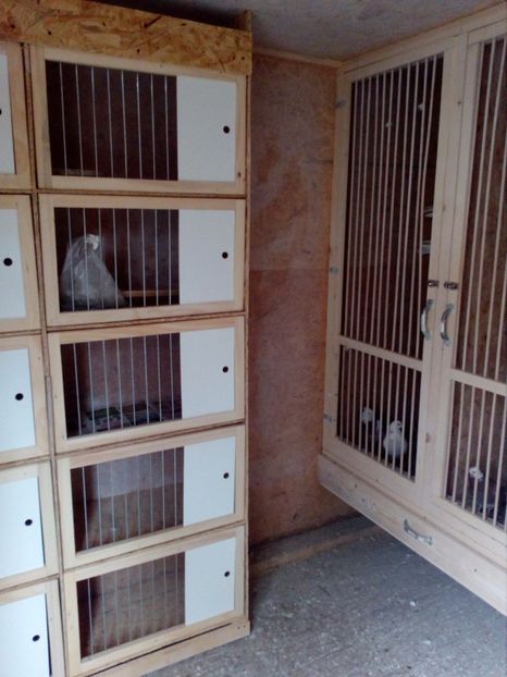  - ROLLER DE BIRMINGHAM LINIA HEINE BIJKER -HENRI SMITH