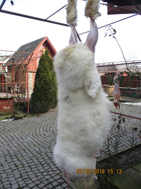 prod.proprie !5,5 luni ! - SACRIFICARI