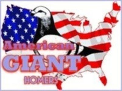 Prch 03 - Perechi AGH 2018