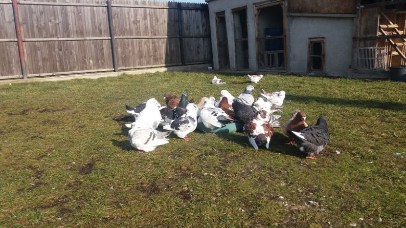  - 6- AMERICANI MATCA 2018