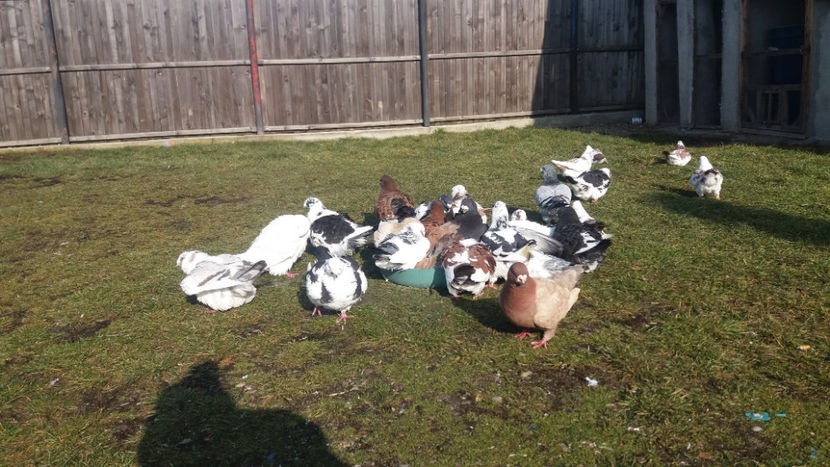  - 6- AMERICANI MATCA 2018