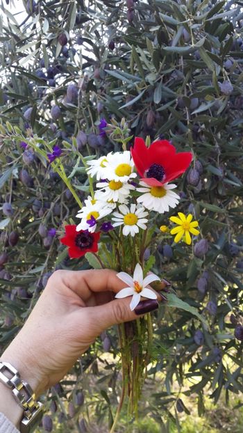  - Iarna prin alte țări