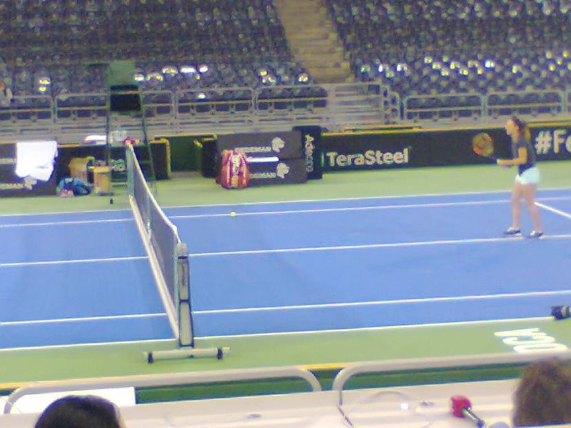 Fotografie3494 - 2018 Fed Cup a României-Canada