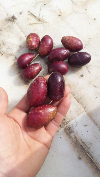  - Iarna prin alte țări