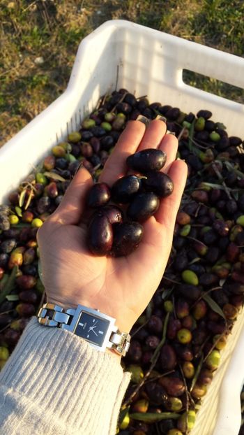  - Iarna prin alte țări