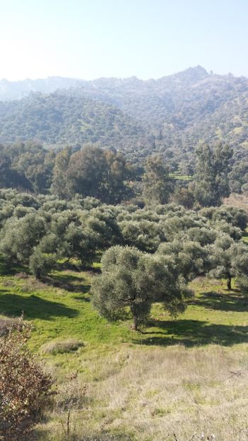  - Iarna prin alte țări