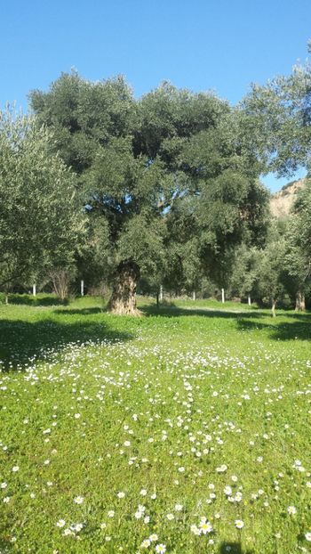  - Iarna prin alte țări