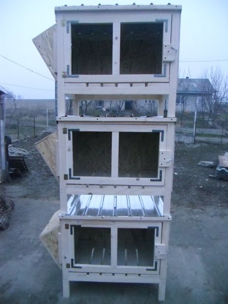 CIMG9036 - CUSTI PENTRU IEPURI DE VANZARE