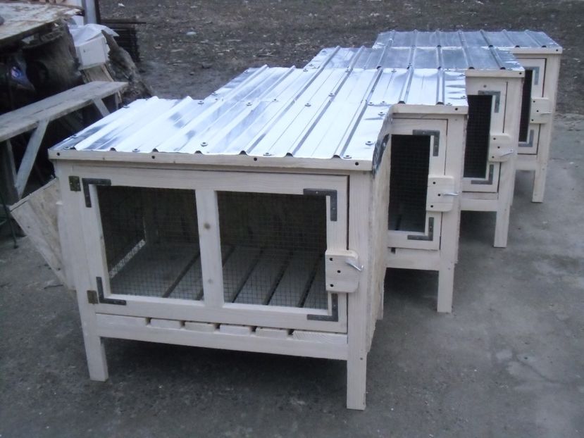 CIMG9019 - CUSTI PENTRU IEPURI DE VANZARE