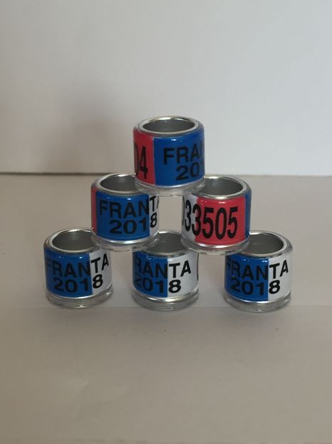  - Inele Tari Straine colecție 2018