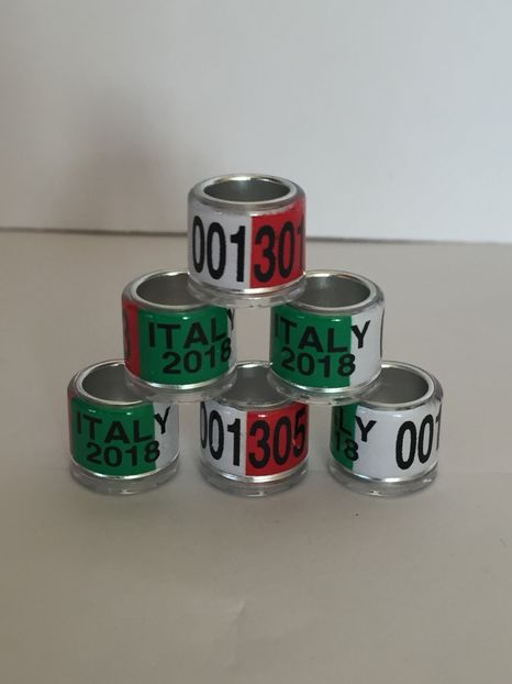  - Inele Tari Straine colecție 2018