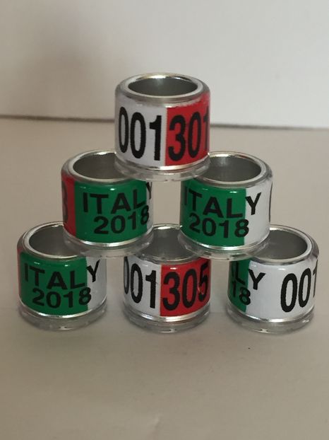  - Inele Tari Straine colecție 2018