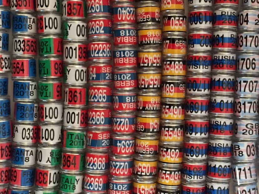  - Inele Tari Straine colecție 2018