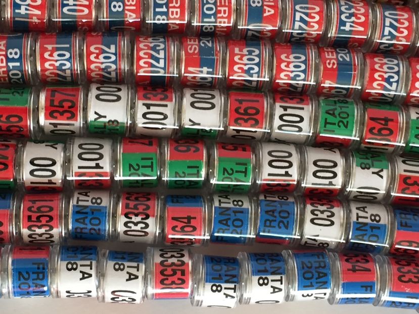  - Inele Tari Straine colecție 2018