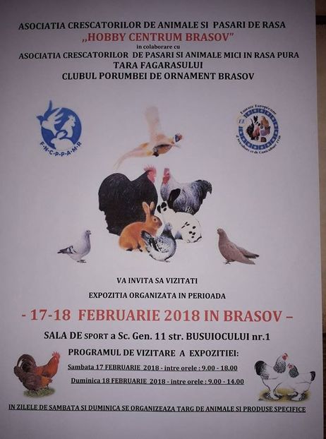 26805513_1806878729386631_8136482346350899074_n (1) - EXPO-2018- HOBBY CENTRUM BRASOV