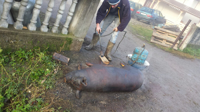 IMG-20171125-WA0001 - 09-02-2018