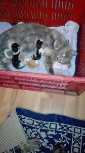 received_213078195880918 - 09-02-2018