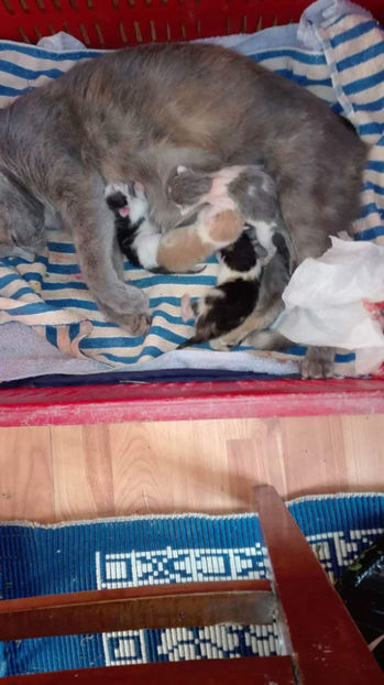 received_213078205880917 - 09-02-2018