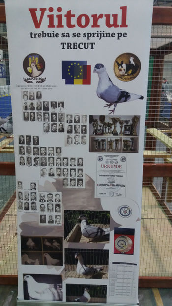  - EXPOZITIA DE PASARI SI ANIMALE OTOPENI 2018