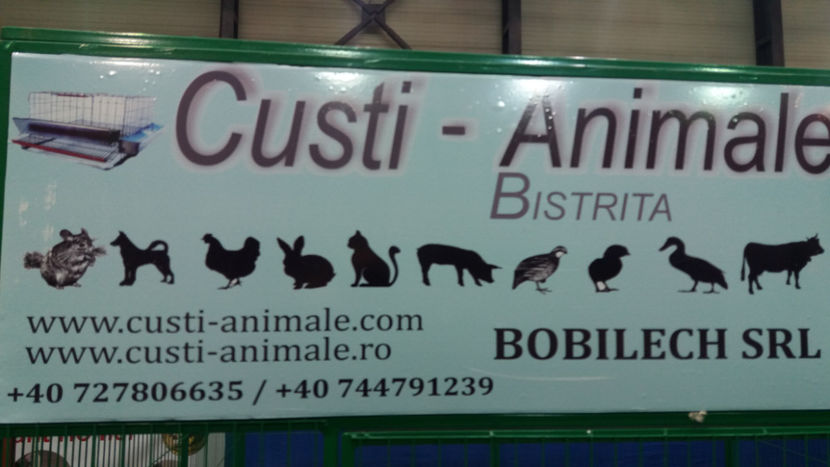  - EXPOZITIA DE PASARI SI ANIMALE OTOPENI 2018