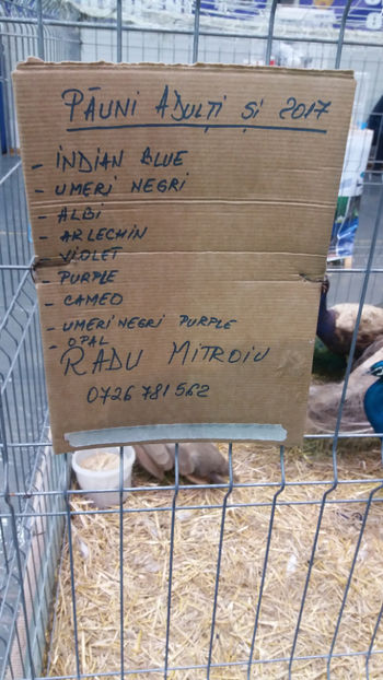  - EXPOZITIA DE PASARI SI ANIMALE OTOPENI 2018