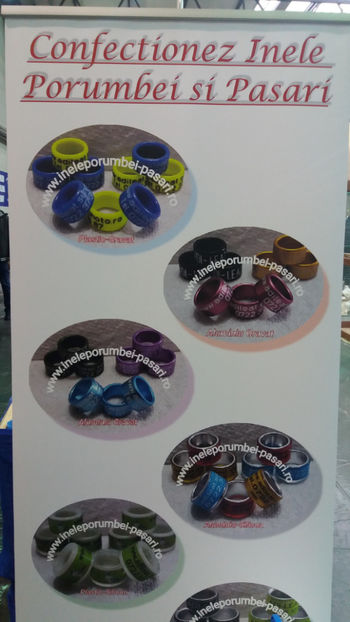  - EXPOZITIA DE PASARI SI ANIMALE OTOPENI 2018