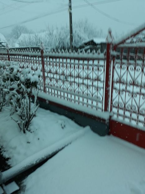 20180209_075033[1] - Iarna 2017-2018