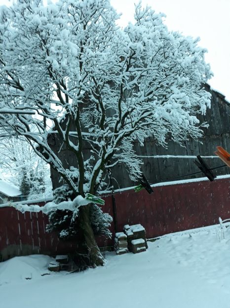 20180209_075115[1] - Iarna 2017-2018