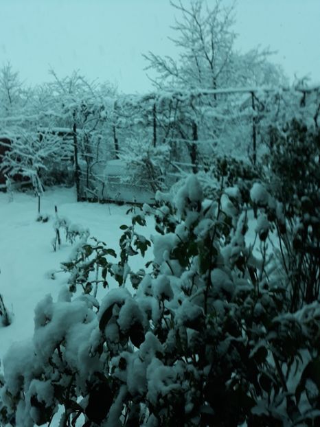 20180209_075137[1] - Iarna 2017-2018