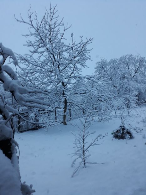 20180209_075201[1] - Iarna 2017-2018